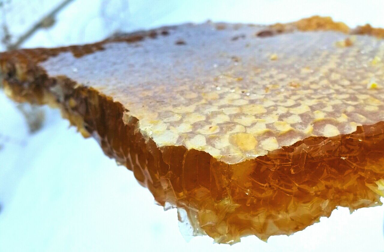 Колодный мёд